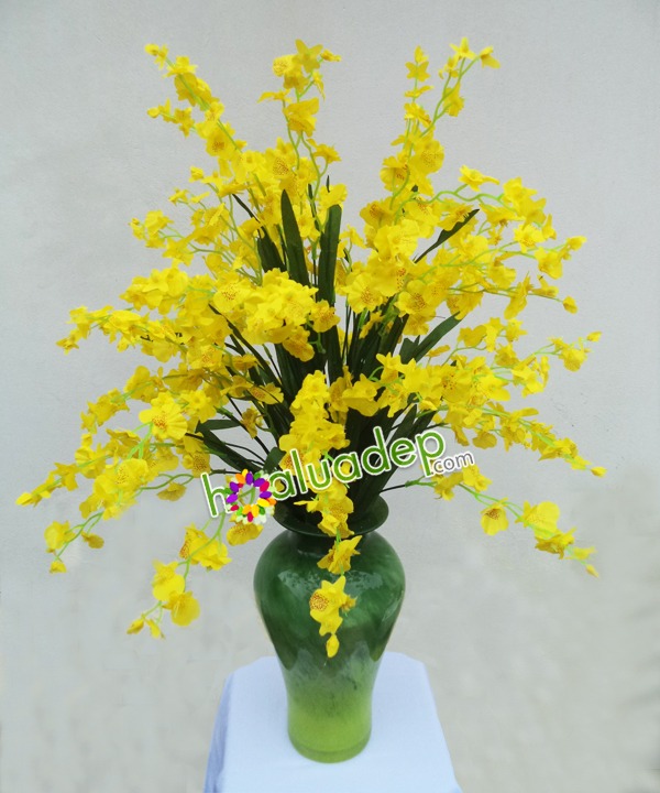 Zoom với Sắc vàng Vũ nữ