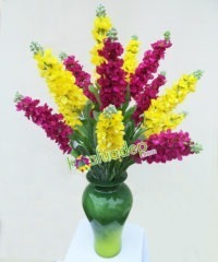 Hoa giả, Hoa lụa đẹp, Hoa Phi Yến