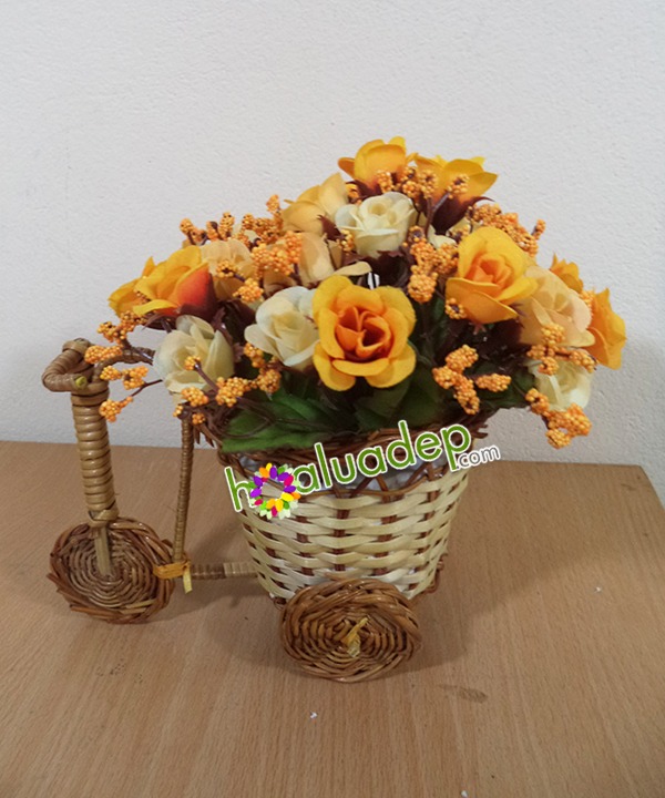 Zoom với Xe đạp hoa