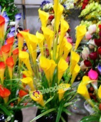 Hoa giả, Hoa lụa đẹp, Hoa Rum vàng