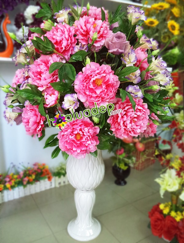 Zoom với Bình hoa Mẫu Dơn