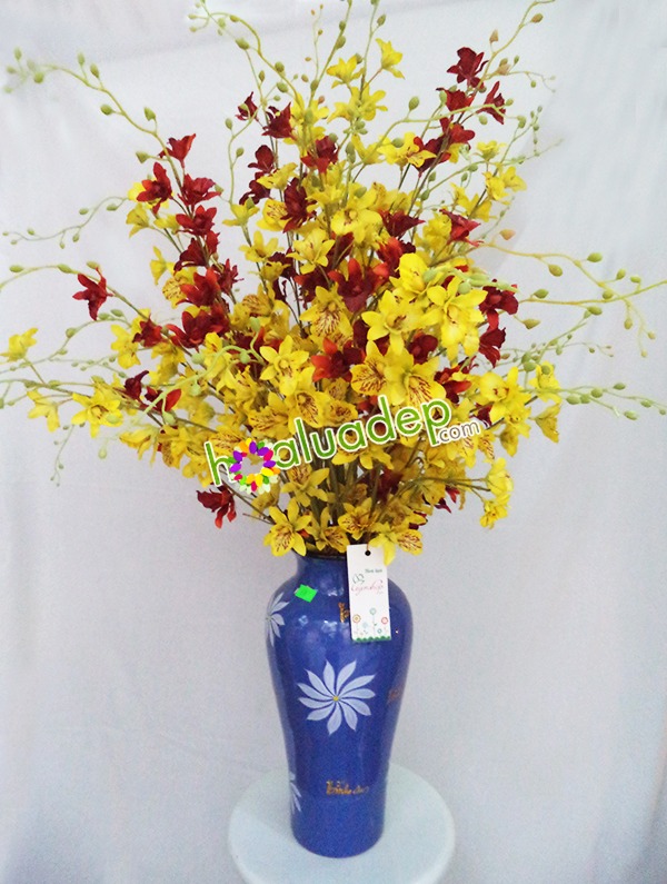 Zoom với Nhẹ nhàng cùng Thu Lan