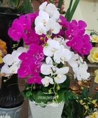 Hoa giả, Hoa lụa đẹp, Chậu Lan Hồ Điệp