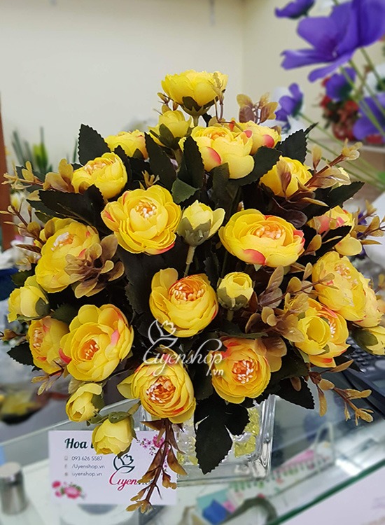 Zoom với Bình Hồng Trà vàng