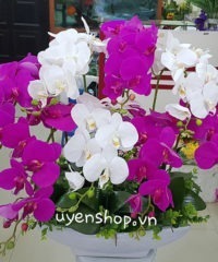 Hoa giả, Hoa lụa đẹp, Thuyền hoa lan