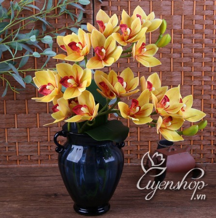 Zoom với Bình địa lan nghệ thuật