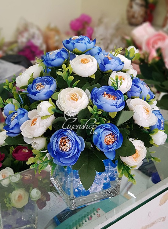 Zoom với Hoa Trà Xanh Dương