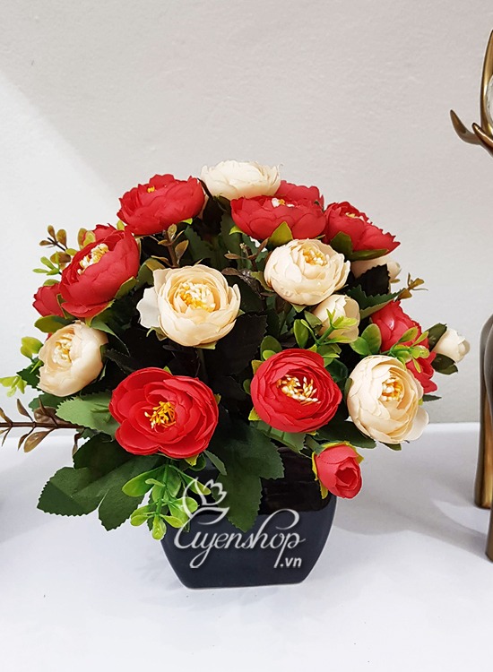 Zoom với Hoa trà xinh