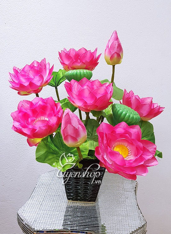 Zoom với Bình hoa Sen