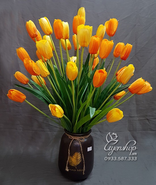 Zoom với BÌNH TULIP XINH