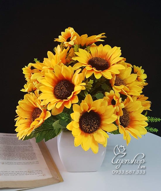 Zoom với HOA HƯỚNG DƯƠNG