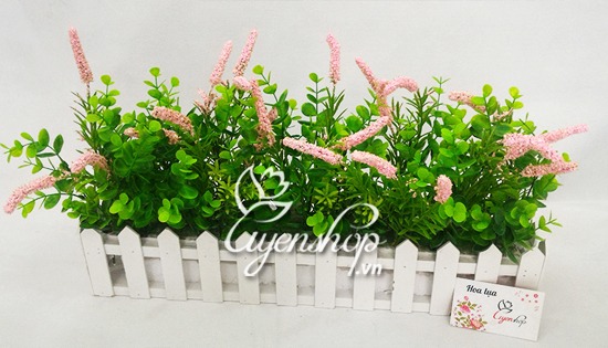 Zoom với HÀNG RÀO CÂY XANH