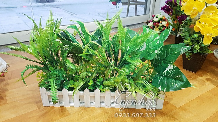 Zoom với HÀNG RÀO CÂY XANH