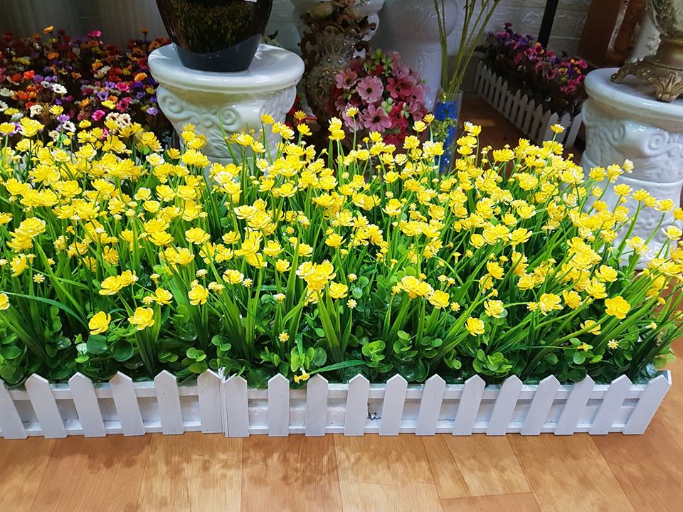 Zoom với HÀNG RÀO ĐIỂM HOA NHỎ 