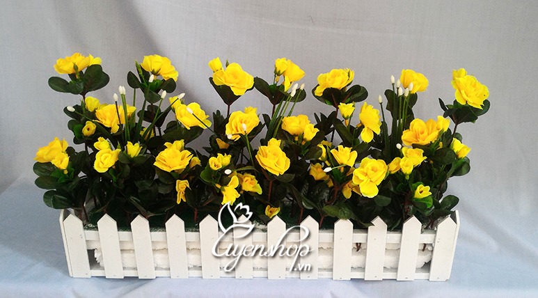 Zoom với HÀNG RÀO HOA MẦU VÀNG 