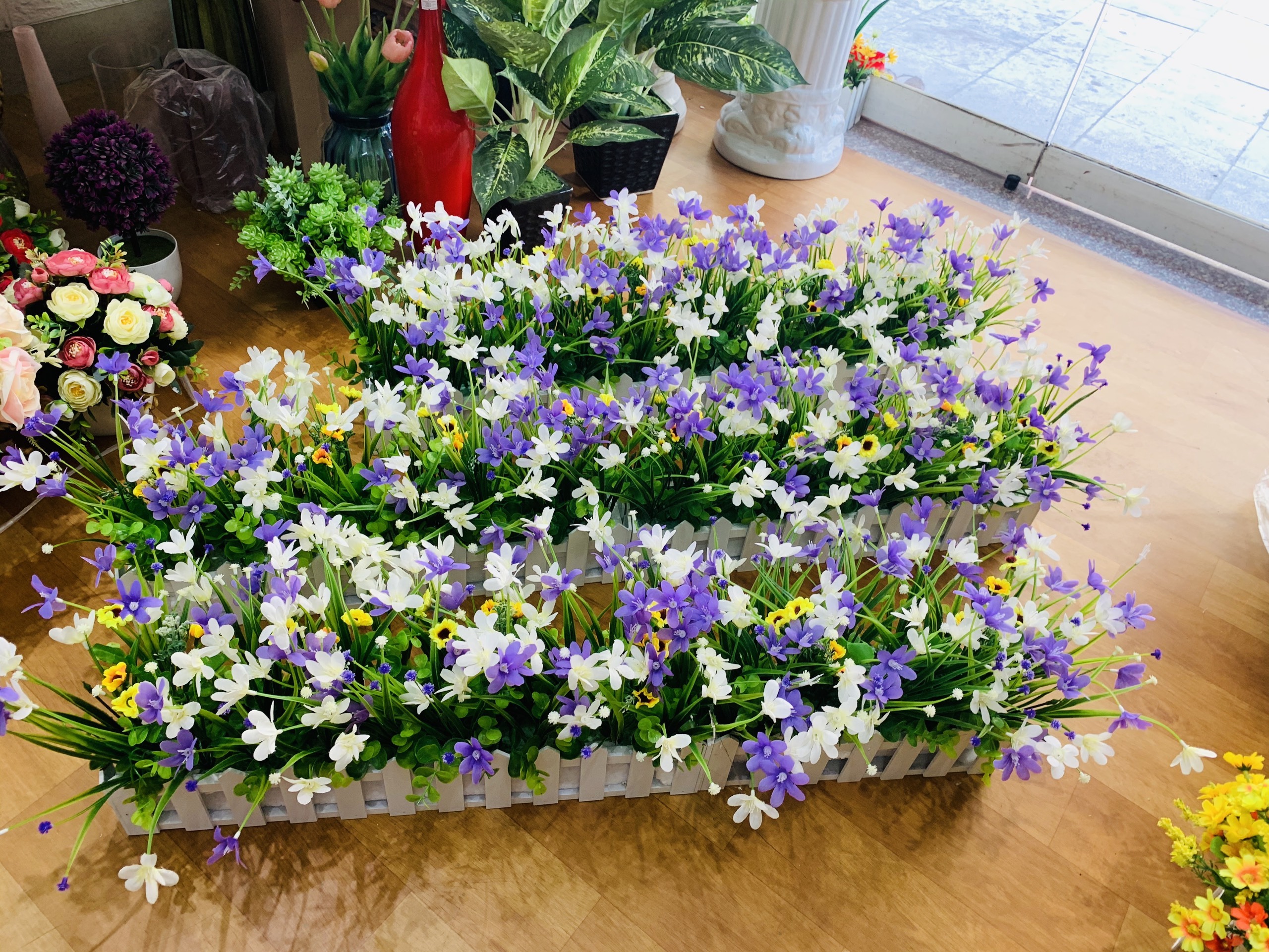 Zoom với HÀNG RÀO HOA THỦY TIÊN 