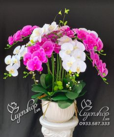 Hoa giả, Hoa lụa đẹp, Chậu Lan Trắng Tím
