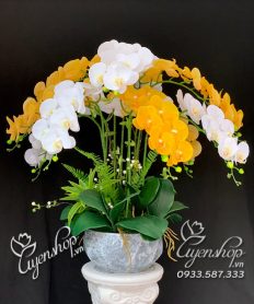 Hoa giả, Hoa lụa đẹp, Chậu Lan Hồ Điệp Trắng Vàng