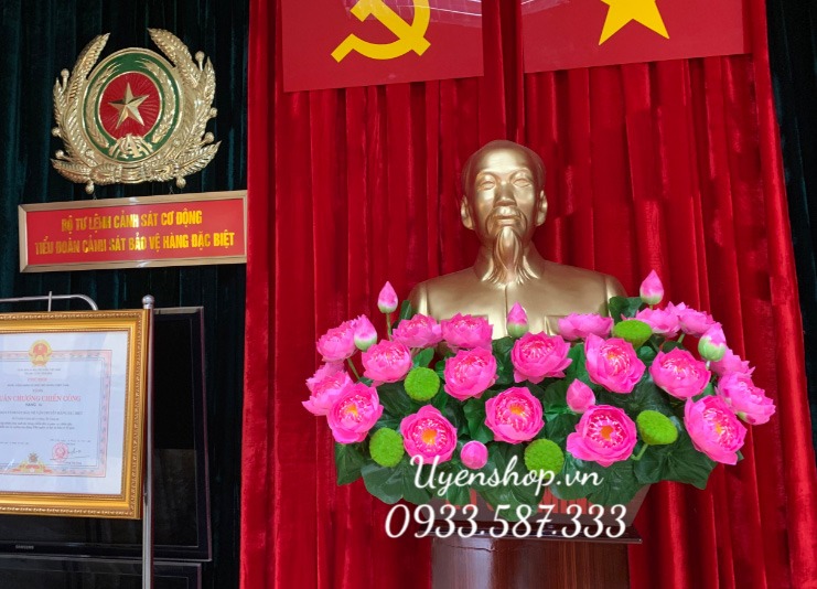 Zoom với HOA LỤA – HOA TƯỢNG BÁC
