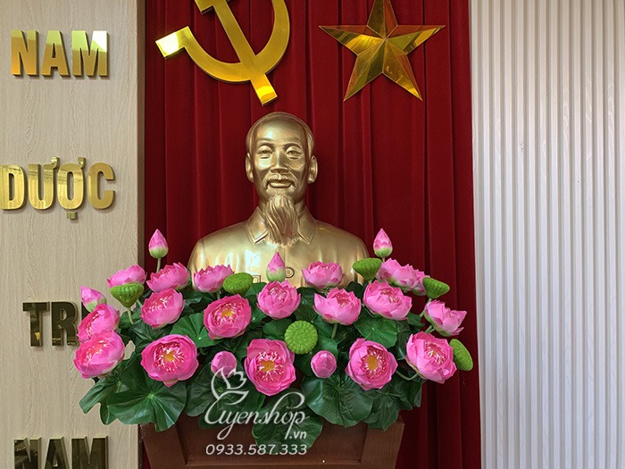 Zoom với Hoa Sen Tượng Bác