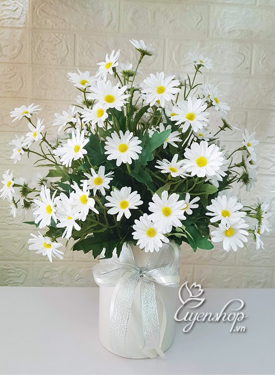 Zoom với Cúc Họa Mi Trắng