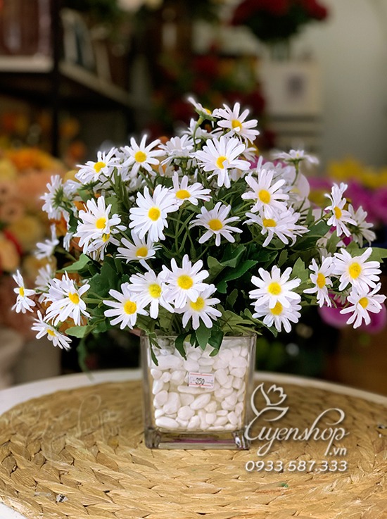 Zoom với Lọ hoa cúc họa mi xinh tươi