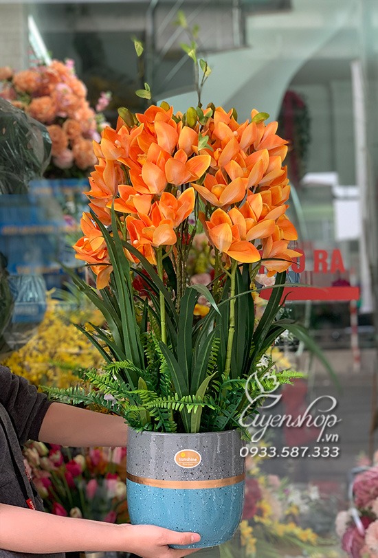 Zoom với Chậu Địa Lan