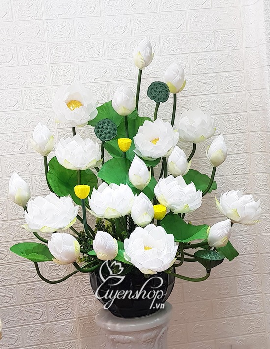 Zoom với Bình Sen Trắng