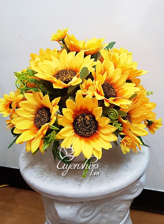 Zoom với Hoa Hướng Dương