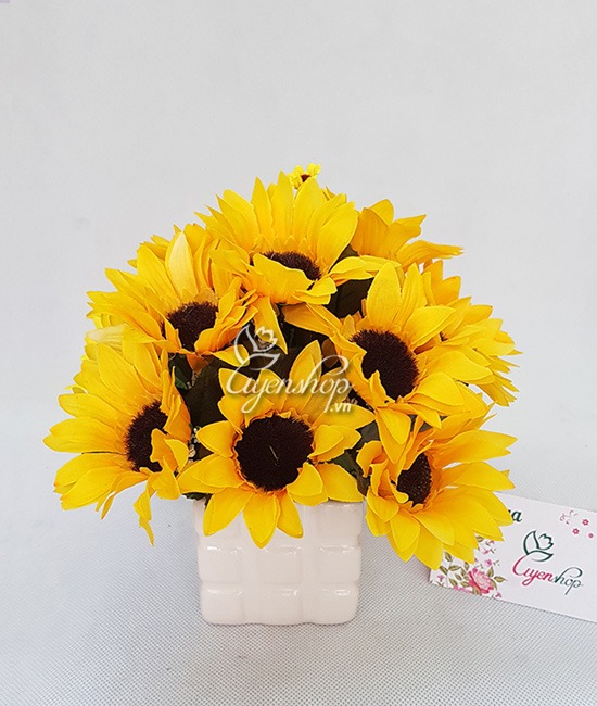 Zoom với Hoa Hướng Dương