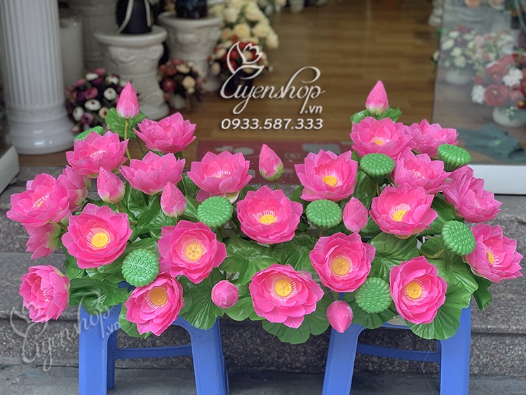 Zoom với Hoa Sen Trang Trí Tượng Bác