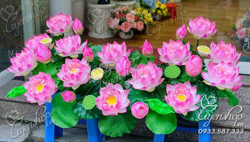 Zoom với Hoa Tượng Bác Cao Cấp