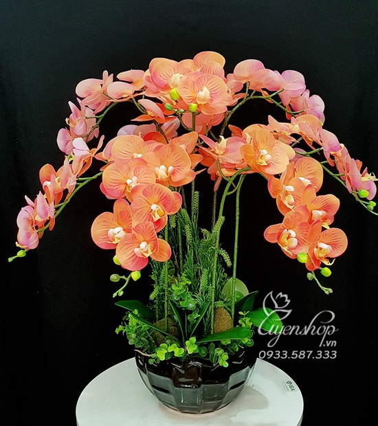 Zoom với Bình Lan Màu Cam