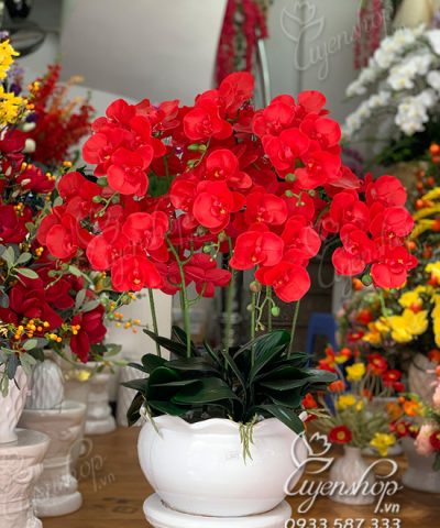 Chậu Lan Đỏ May Mắn Hoa giả, Hoa lụa đẹp, Chậu Lan Đỏ May Mắn