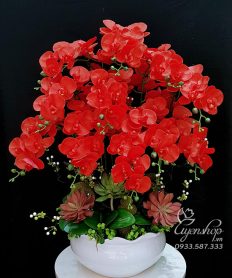 Hoa giả, Hoa lụa đẹp, Chậu Lan Hồ Điệp Đỏ