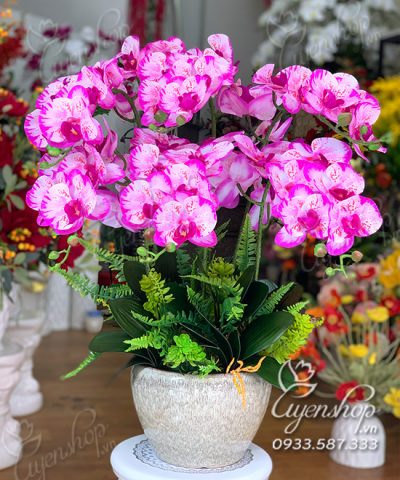 Chậu Lan Tím Đốm Hoa giả, Hoa lụa đẹp, Chậu Lan Tím Đốm
