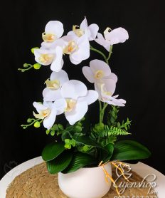 Hoa giả, Hoa lụa đẹp, Chậu Lan Hồ Điệp trắng tinh khôi