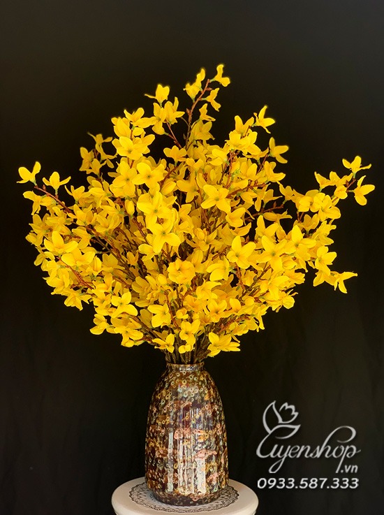 Zoom với Bình Mai Mỹ