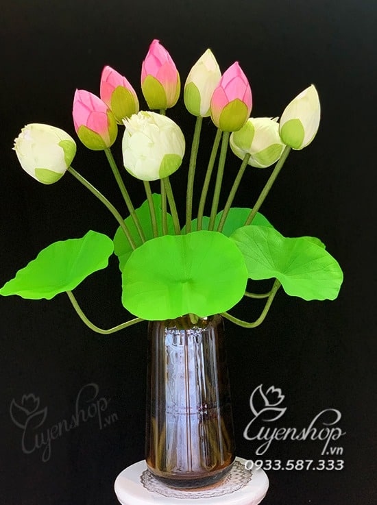 Zoom với Bình Hoa Sen Trắng – Hồng