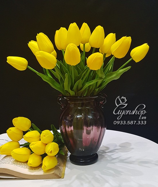 Zoom với Rực Rỡ Cùng Tulip