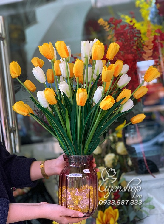Zoom với Bình Hoa Tulip