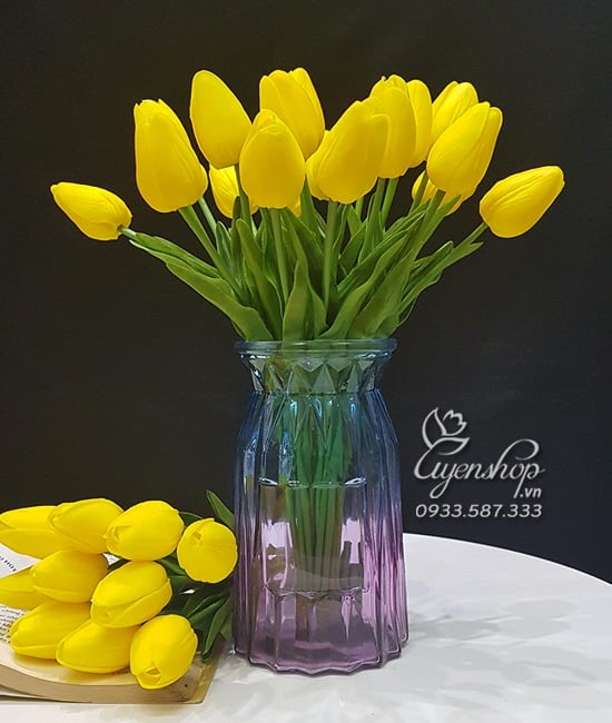 Zoom với Kiêu Sa Cùng Tulip