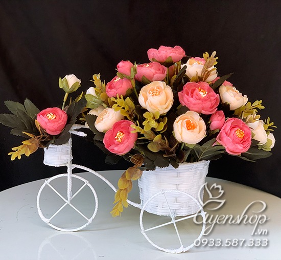 Zoom với Xe Đạp Hoa Trà Xinh
