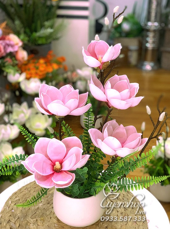 Zoom với Mộc Lan hồng nghệ thuật