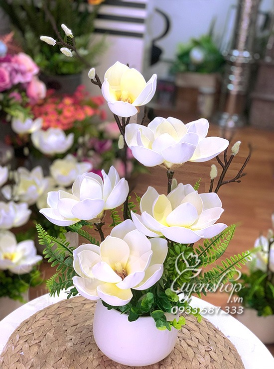 Zoom với Mộc Lan trắng nghệ thuật