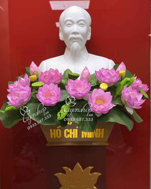 Zoom với Hoa Sen Tượng Bác