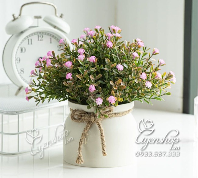 Zoom với LỌ HOA BABY HỒNG XINH