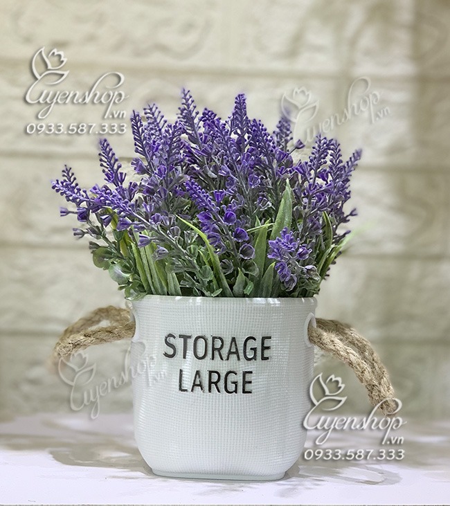Zoom với CHẬU HOA LAVENDER NHỎ XINH