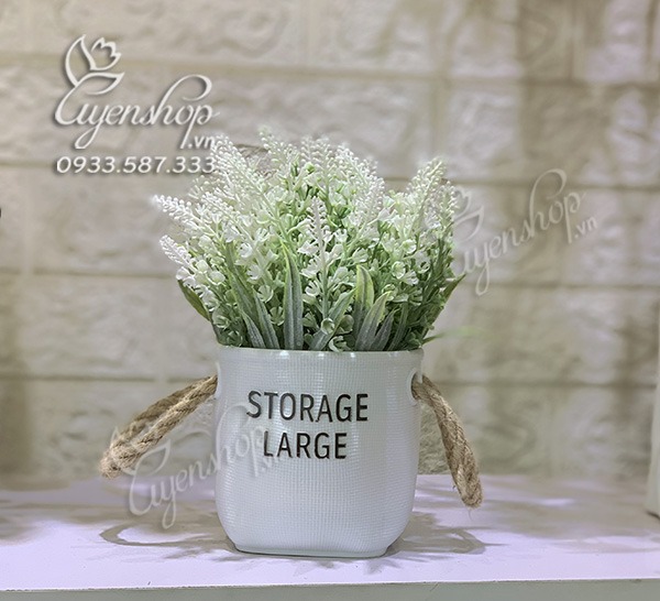 Zoom với CHẬU HOA OẢI HƯƠNG NHỎ