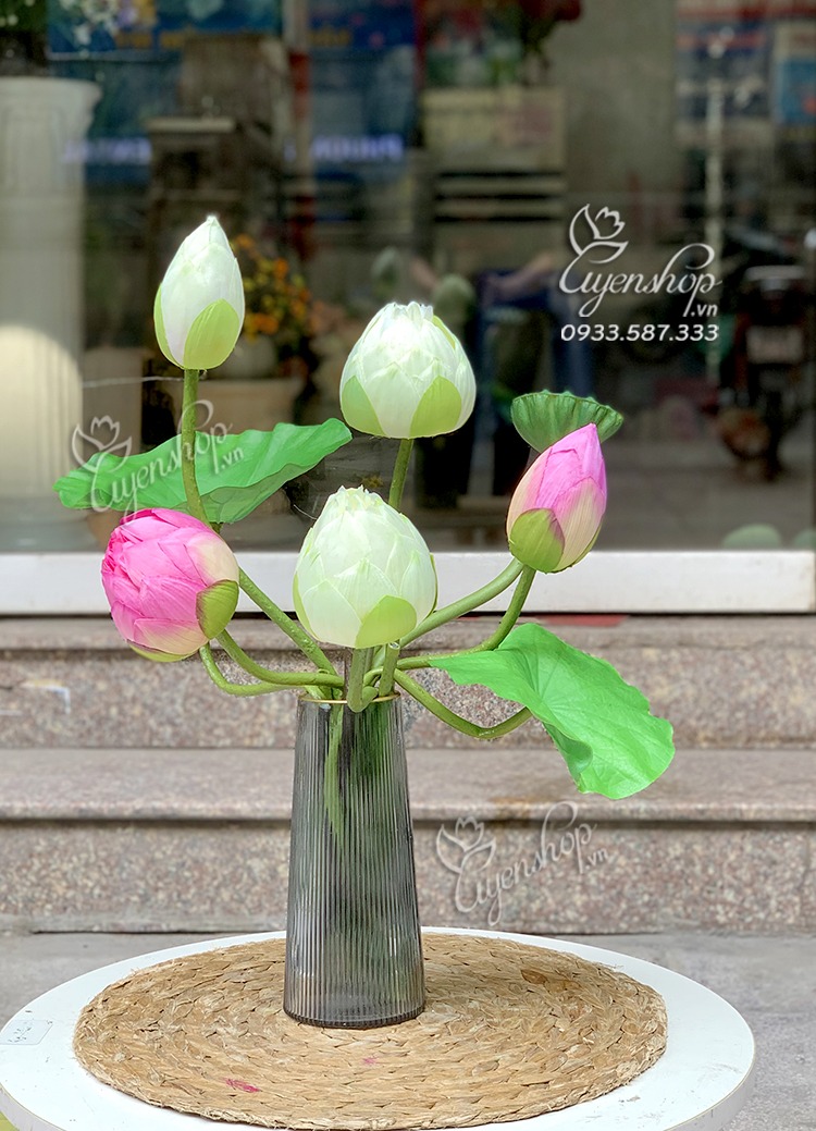 Zoom với BÌNH SEN QUAN ÂM NHỎ